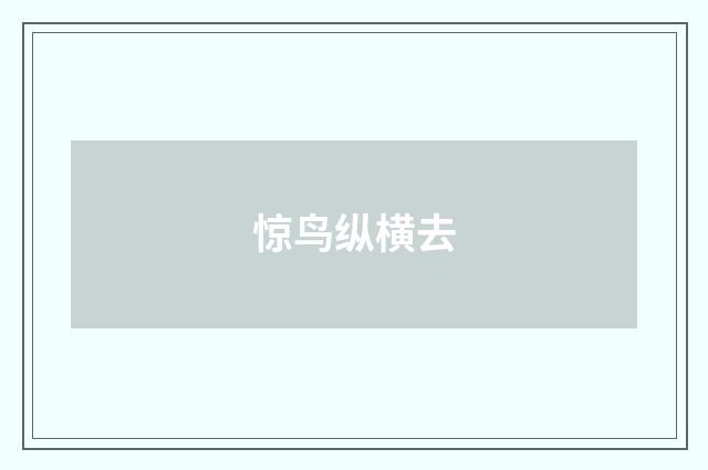惊鸟纵横去