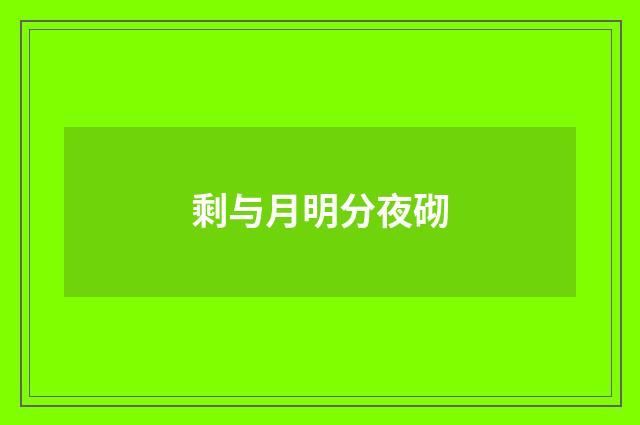 剩与月明分夜砌