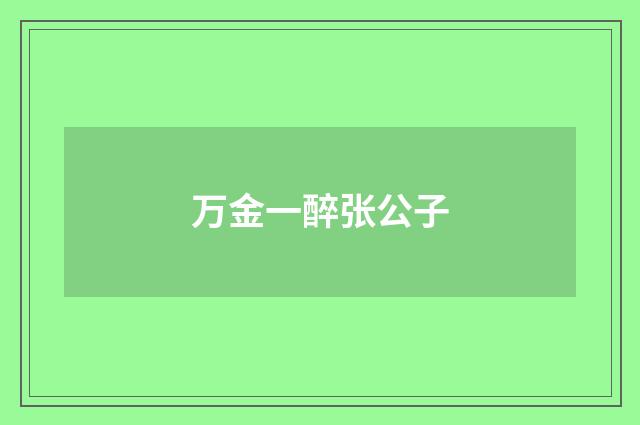 万金一醉张公子