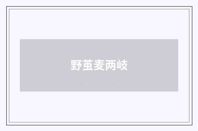 野茧麦两岐