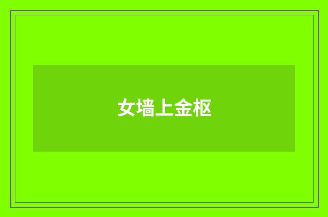 女墙上金枢