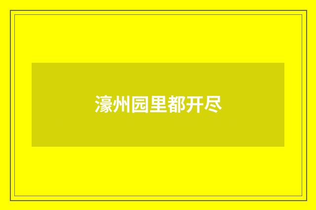 濠州园里都开尽