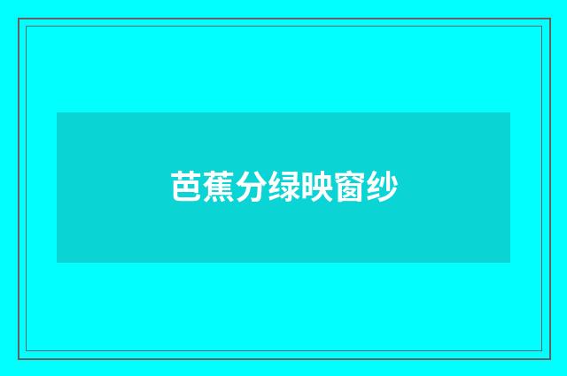 芭蕉分绿映窗纱