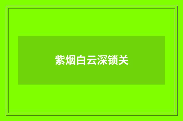 紫烟白云深锁关