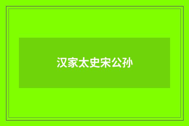 汉家太史宋公孙