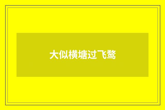 大似横塘过飞鹜