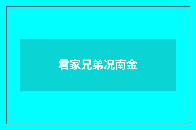 君家兄弟况南金