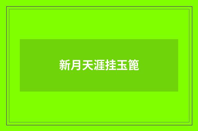 新月天涯挂玉篦