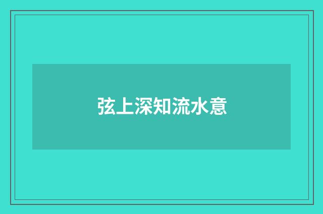 弦上深知流水意