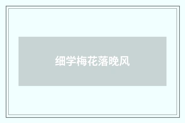 细学梅花落晚风