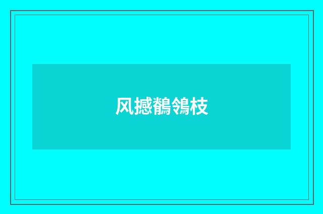 风撼鶺鴒枝