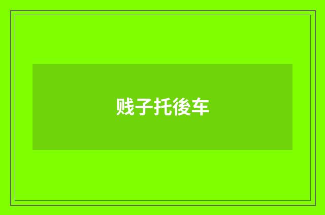 贱子托後车