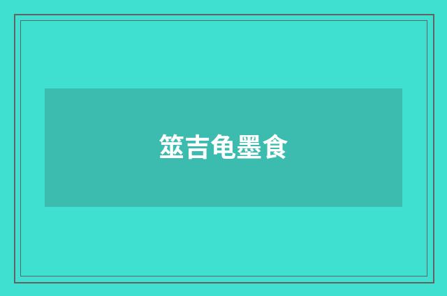 筮吉龟墨食