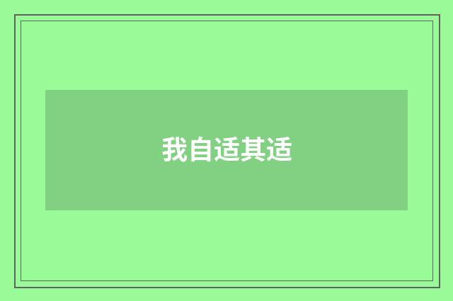 我自适其适