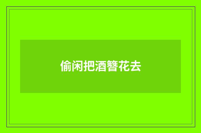 偷闲把酒簪花去