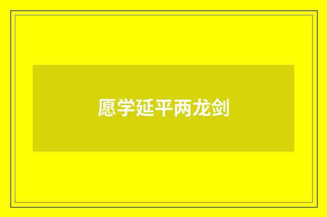 愿学延平两龙剑