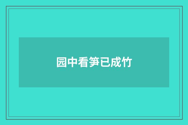园中看笋已成竹