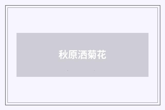 秋原洒菊花
