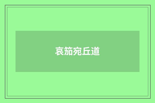哀笳宛丘道