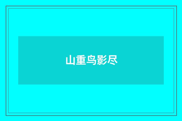 山重鸟影尽