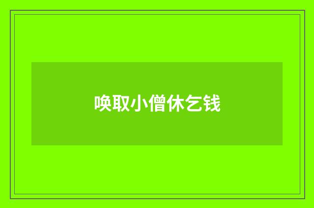 唤取小僧休乞钱