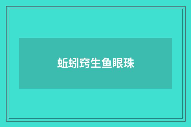 蚯蚓窍生鱼眼珠