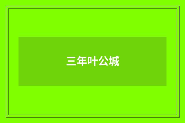 三年叶公城