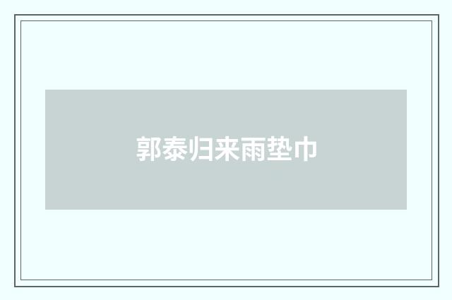 郭泰归来雨垫巾