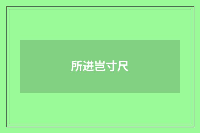 所进岂寸尺