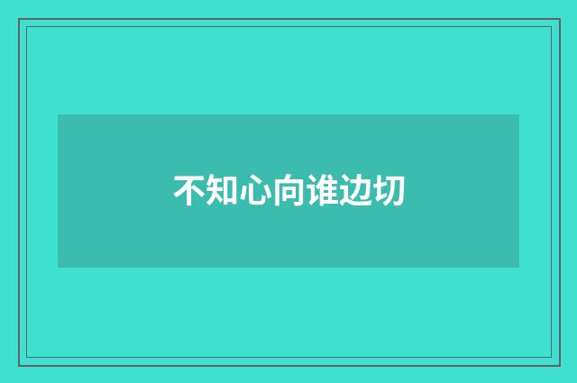 不知心向谁边切