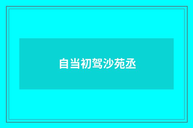 自当初驾沙苑丞