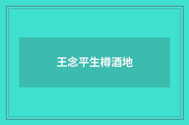 王念平生樽酒地