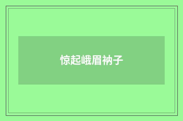 惊起峨眉衲子