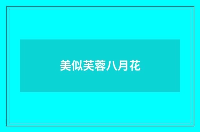 美似芙蓉八月花
