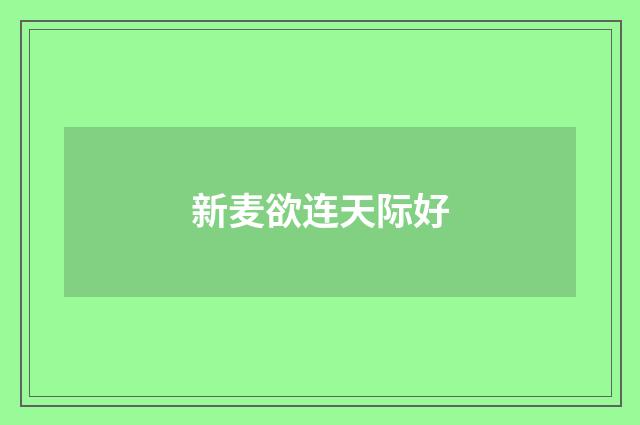 新麦欲连天际好