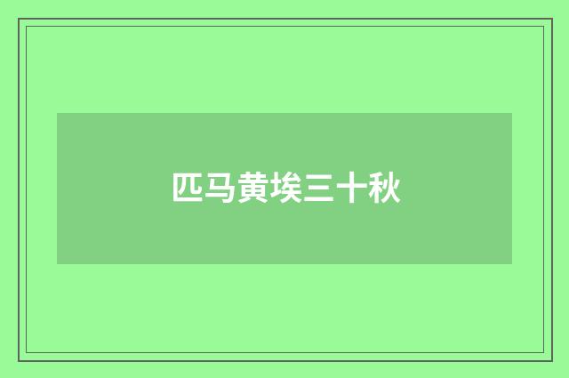 匹马黄埃三十秋