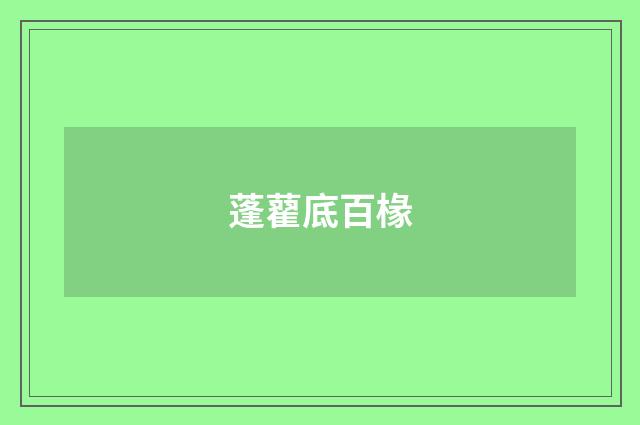 蓬藋底百椽