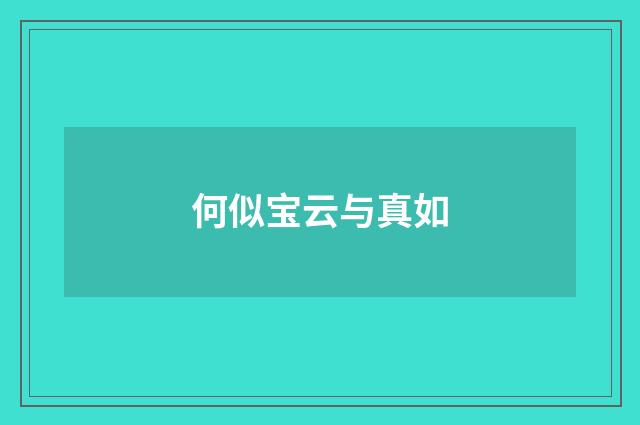何似宝云与真如