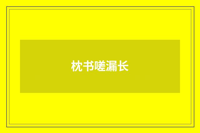 枕书嗟漏长