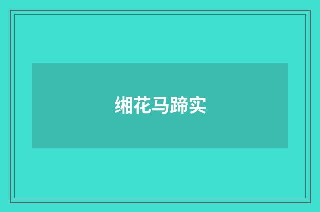 缃花马蹄实