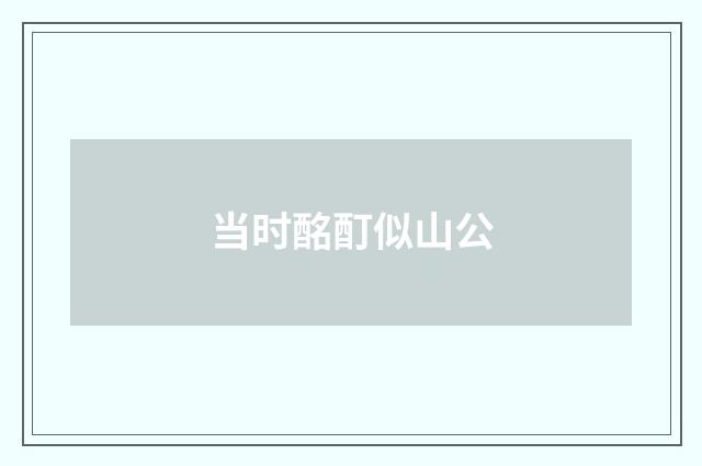 当时酩酊似山公