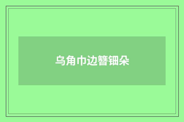 乌角巾边簪钿朵