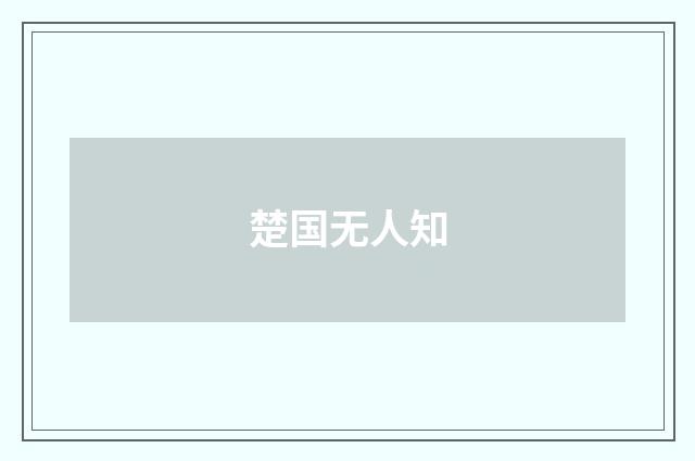 楚国无人知