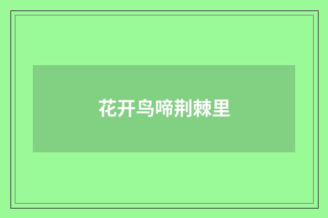 花开鸟啼荆棘里