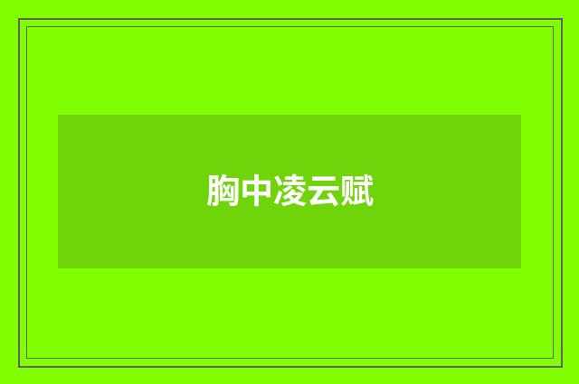 胸中凌云赋