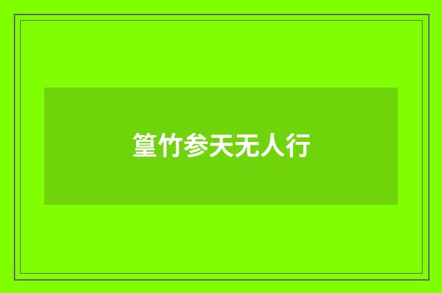 篁竹参天无人行