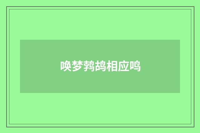 唤梦鹁鸪相应鸣