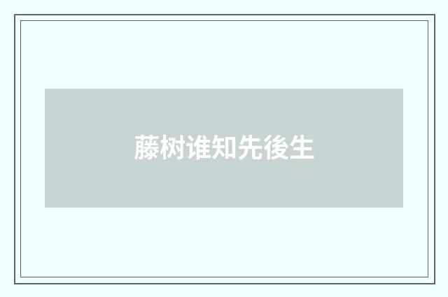 藤树谁知先後生