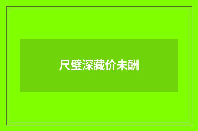 尺璧深藏价未酬
