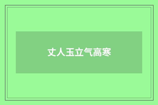 丈人玉立气高寒